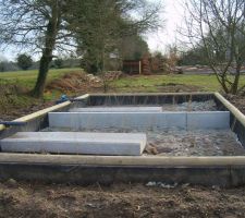 Installation de la phyto-&eacute;puration