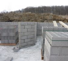 J 37 Les murs poussent