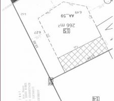 Lot 15