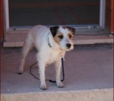 Le maître des lieux - il surveille aussi ;)