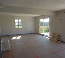 Une partie du séjour / salon