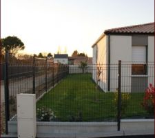 Premi&egrave;re tonte ... 6 mois apr&egrave;s la livraison ...