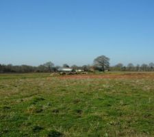 Reperage parcelle avec bornes