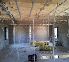 Mise en place des pieuvres