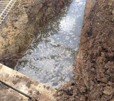 Tranchée pour assainissement, la cata ... 1m80 d'eau !!! Une source qui nous embête !!!