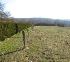 Notre terrain
