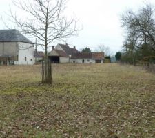 Vu du fond se terminant en pointe. distance au trottoir: 100m !!