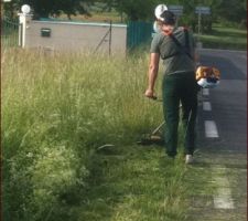 Il faut commencer par tondre notre terrain