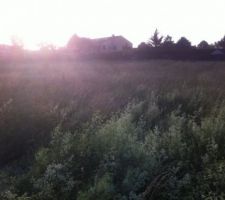 L?acquisition de notre terrain y'a plus cas!!