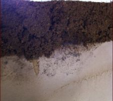 Pr&eacute;-chape termin&eacute;e
photo prise en montant &agrave; l &eacute;tage 
il y en a quelques centim&egrave;tres !