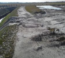 Terrain vue de l'ouest