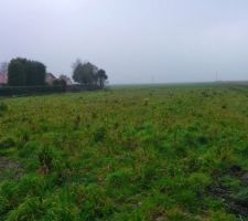 Notre terrain