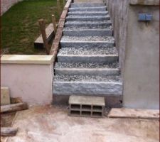 Après 300? de matériel dont une tonne de béton. Escalier en contre marche granit. Fait par mes soins. Comme quoi vaut mieux un bon amateur qu'un mauvais professionnel