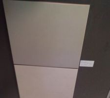 Ici le carrelage de la sdb, WC et d&eacute;gagement au niveau des chambres