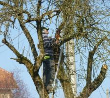 Et un peu de bucheronnage