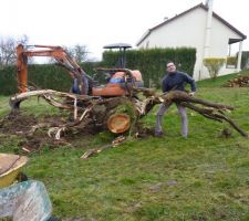 On s'attaque aux souches