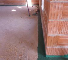 Le traitement anti-termite... Inside !