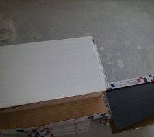 Fa&iuml;ence sdb   wc &eacute;tage