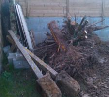 Dessouchage, reste plus qu'à tout enlever =)