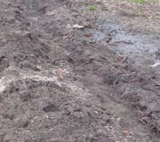 Pour le futur drainage