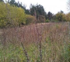 Le terrain une fois qu'on est devenus propri&egrave;taire