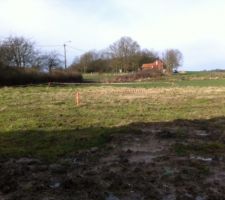 Voici quelques photos de notre terrain...