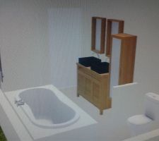 Plan de notre salle de bain fait chez Castorama