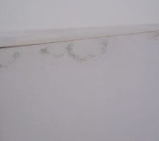 Notre plantation de champignon sur nos portes