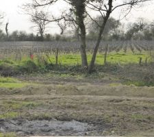 Vue sur les vignes au fond du jardin