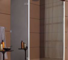 Paroi douche fixe   ouverte (miroir) salle de bain du haut Leda Jazz.