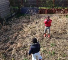 Nettoyage jardin en cours
Avant