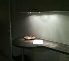 Le plan de travail dont je suis fier car je l'ai dessin&eacute; tout seul cette cuisine