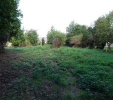 Vue du terrain depuis le fond.
La construction sera &agrave; la place des arbustes (pommiers) q'on aper&ccedil;oit au milieu de la photo
