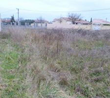 Photo avant d&eacute;broussaillage