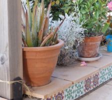 Frise de carreaux tunisiens sur le muret de la terrasse