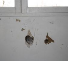 Super le joli mur...Problème d'infiltration mais cela ne venait pas de la fenêtre. Mur changé mais on ne sait toujours pas d'où cela vient.