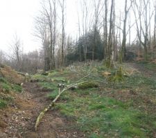 Voilà les menus travaux de jardinage