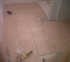 Le sol de la salle de bain est fait par mes soins...par manque de budget..