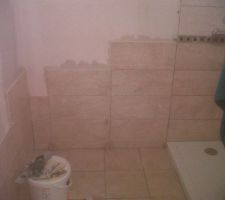 Et les murs de la salle de bain aussi ..toujours par manque de budget ))