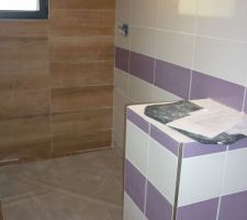 Fa&iuml;ence de la sdb termin&eacute;e!