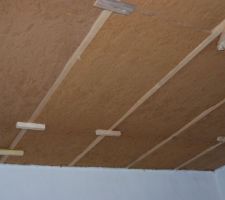 Laine de bois sous plafond