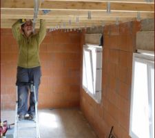 Dans la for&ecirc;t des suspentes....