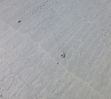 Apparition de fissures sur la dalle, 2jours apres