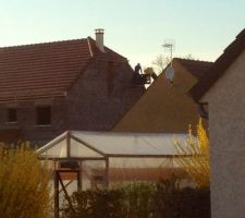 La maison est presque couverte, et la cheminée est bien présente sur la croupette