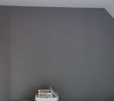 Gris clair pour notre chambre