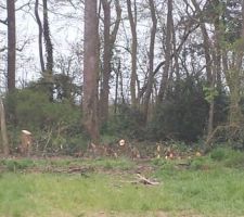 Résultat après la 1ère journée de boulot