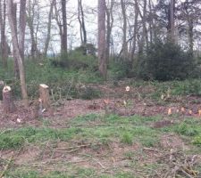 Résultat après la 1ère journée de boulot