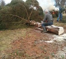 Mon papa le bucheron !