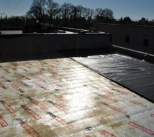 Pose de la membrane EPDM