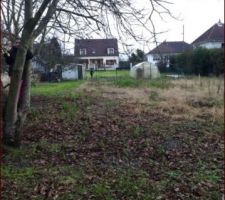 Depuis le fond du terrain